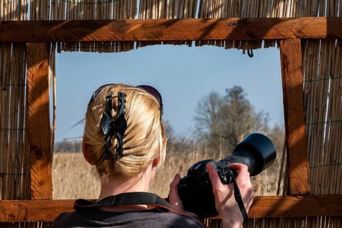 Nature photography photography from the observation stand