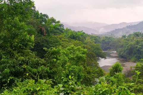 Tropical rainforest, Baracoa, Guantanamo Province, Cuba, Central America