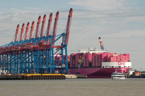 Pink container freighter One Innovation of the shipping company Ocean Network Express (Europe) Ltd.