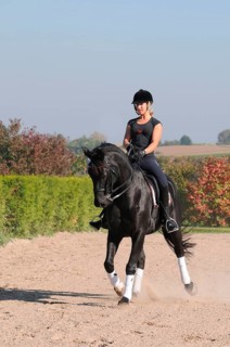 Rider and Westfalian warmblood, black horse, dressage training, Westfalian warmblood, German