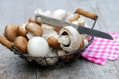 Cultivated mushrooms, knife (Agaricus hortensis) , basket
