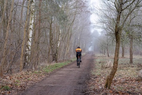 Cyclist, landscape photography, fog in January, Berlin Lübars, Germany, Europe
