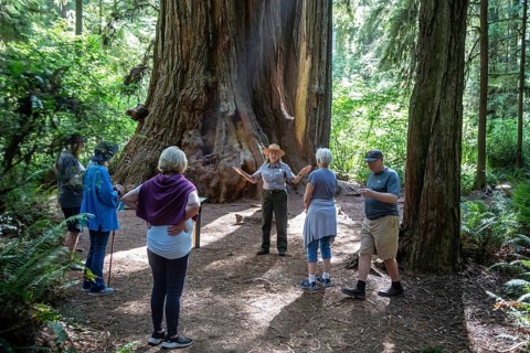 Crescent City, California - A National Park Service ranger leads visitors on a hike among the