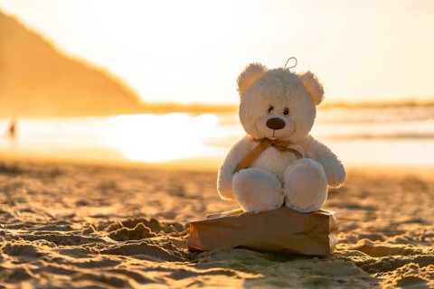 A teddy bear is sitting on a rock on a beach. The sun is setting in the background, creating a warm