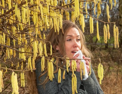Young Caucasian woman with allergy problem stands by flowering hazel bush and sneezes into a