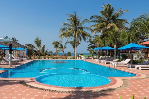 Swimming pool in tropical resort with palm trees and sea on horizon