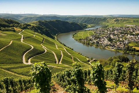 Picturesque village by the river and in the vineyards, Piesport, Moselle, Rhineland-Palatinate,
