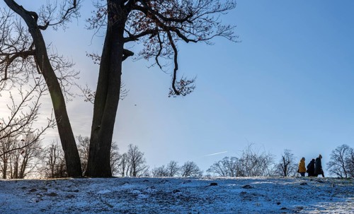 Park Babelsberg, winter impressions, Potsdam, Brandenburg, Germany, Europe