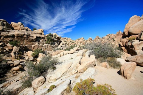 Rocky landscape in Joshua Tree National Park, Mojave Desert, California, USA, North America