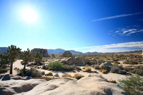 Rocky landscape in Joshua Tree National Park, Mojave Desert, California, USA, North America