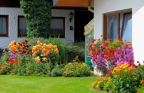 Baden-Württemberg, Black Forest house with flower garden in summer, different summer flowers in the