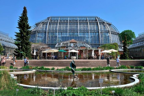 Large Tropical House, Botanical Garden, Dahlem, Berlin, Germany, Europe