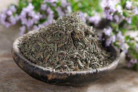 Broad-leaved thyme (Thymus pulegioides), dried