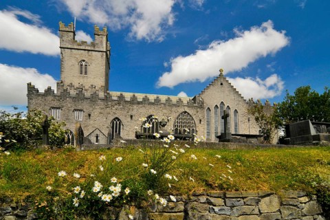 St. Mary's Cathedral, Limerick Cathedral