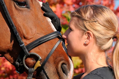 Wife and german warmblood, german riding horse, bridle