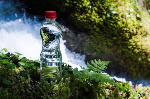 Transparent plastic A bottle of clean water with a red lid stands in the grass and moss on the