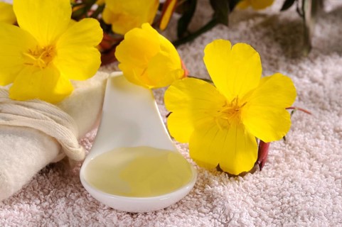 Evening primrose oil (Oenothera biennis), evening primrose, evening primrose oil