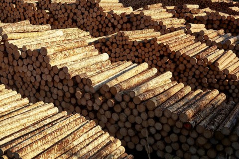 Hasslacher Norica Timber sawmill and pellet plant, Sachsenburg, Carinthia, Austria, Europe