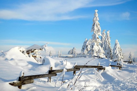 Black Forest, Black Forest in winter, spruce forest, Black Forest High Road, snowy landscape, at