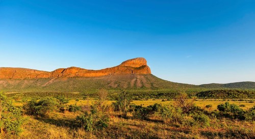 Vast savannah landscape with a striking mountain under a clear blue sky, Waterberg, Limpopo, South
