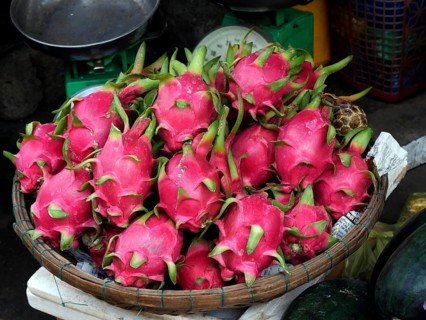 Vietnam, Quang Nam Province, Hoi An City, Old City listed at World Heritage site by Unesco, the