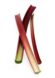 Rhubarb (Rheum rhabarbarum), vegetable rhubarb, curly rhubarb, knotweed, rhubarb against white