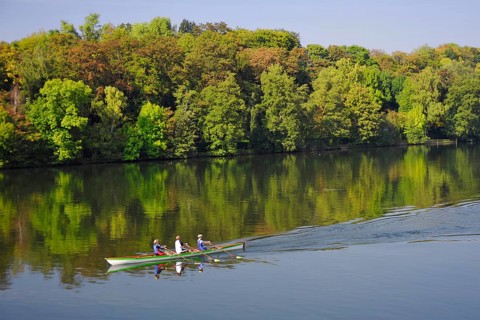 Rowers on Lake Baldeney, Essen-Kupferdreh, Ruhr Area, North Rhine-Westphalia, Germany, Europe