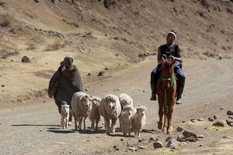Shepherds, Sotho, Basotho, Mokhotlong district, A14, Lesotho, Shepherds, Africa