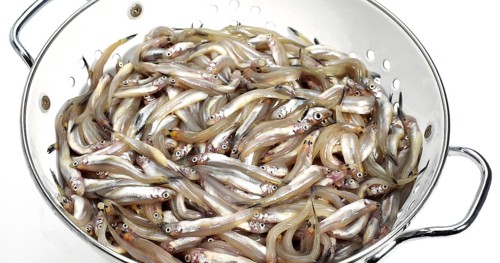 Fresh Smelts (osmerus eperlanus) into Dish Drainer against White Background