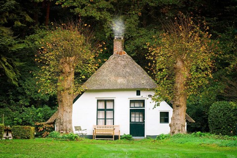 House by the forest, Netherlands