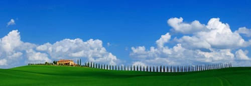 A single rural tuscan house, agroturismo, and cypress avenue, with blue sky, white clouds in April,