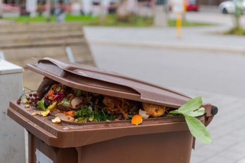 Brimful municipal bio-waste trash can with open lid for biological organic waste standing on open