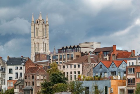 A picture of Saint Bavo's Cathedral rising above nearby houses