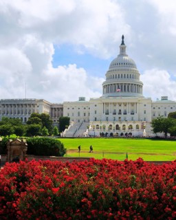 Capitol Building, Washington DC, United States, North America