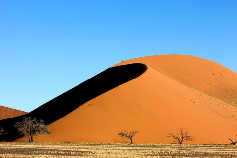Namib Desert, Namib Naukluft Park, Sossusvlei Dunes, Dune 45, Namibia, Africa