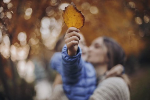 Young happy family, mother and little son child walking in autumn forest, kid holding yellow tree