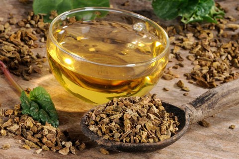 Rhubarb root (Rheum palmatum) cup rhubarb root tea, rhubarb, root, rhubarb root tea