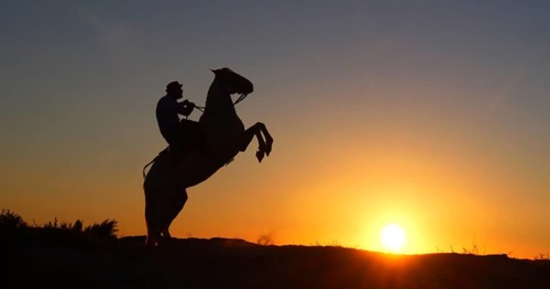 Man on his Camargue Horse Kicking at Sunrise, Manadier in Saintes Maries de la Mer in Camargue, in