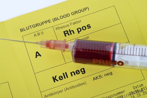 Blood group card, blood group passport, blood group, blood collection, blood sample, blood test,
