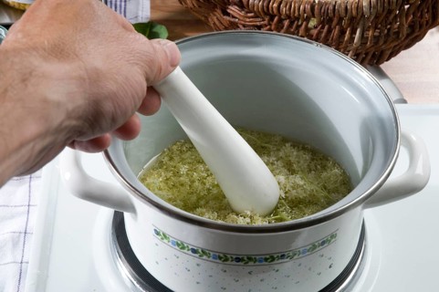 Elder (Sambucus nigra), production of elderberry ointment, cooking elderberry flowers, pot, cooking