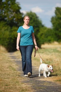 Woman with Parson Russell Terrier on leash, Parson Jack Russell Terrier, dog leash, walking, dog