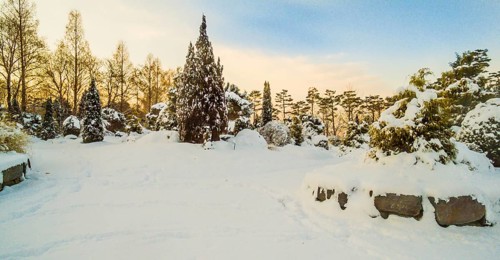 Wintry landscape of trees and boulders covered with powdery white snow in a public park in
