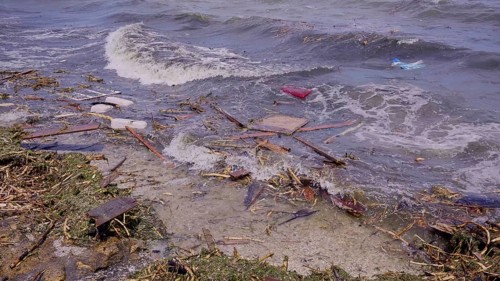 Close-up of floating debris has reached Black Sea beaches in Odessa, Ukraine. Environmental