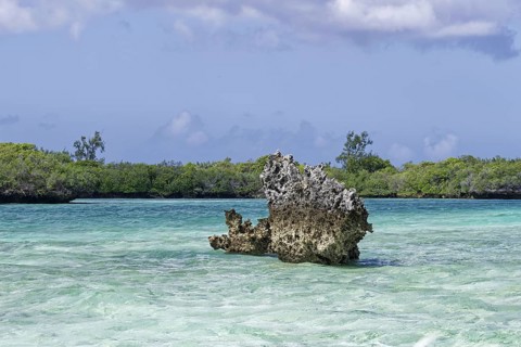 Mangroves, Mushroom Rocks, turquoise blue water, blue sky with white clouds, UNESCO World Heritage
