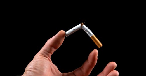 Hand of Man who breaks a Cigarette on Black Background