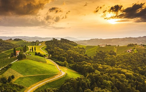 South styria vineyards aerial landscape, near Gamlitz, Austria, Eckberg, Europe. Grape hills view