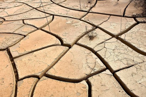 Drought, Desert near Walvis Bay in Namibia IN
