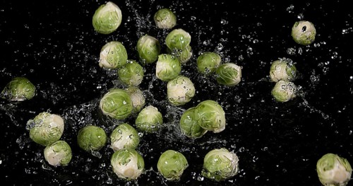 Brussels Sprouts (brassica) oleracea, Vegetable falling into Water against Black Background