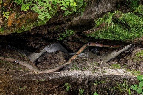 Breitachklamm gorge near Oberstdorf in Allgäu, Bavaria, Germany, Europe
