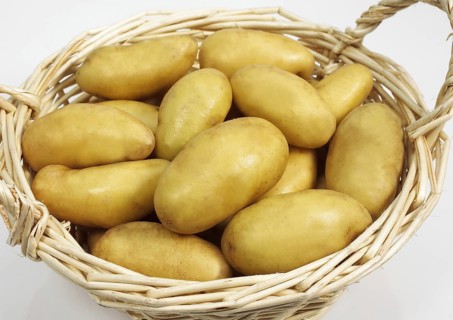 Potato, Potatoes (solanum tuberosum), Solanaceae, Charlotte Potato, Vegetable against white